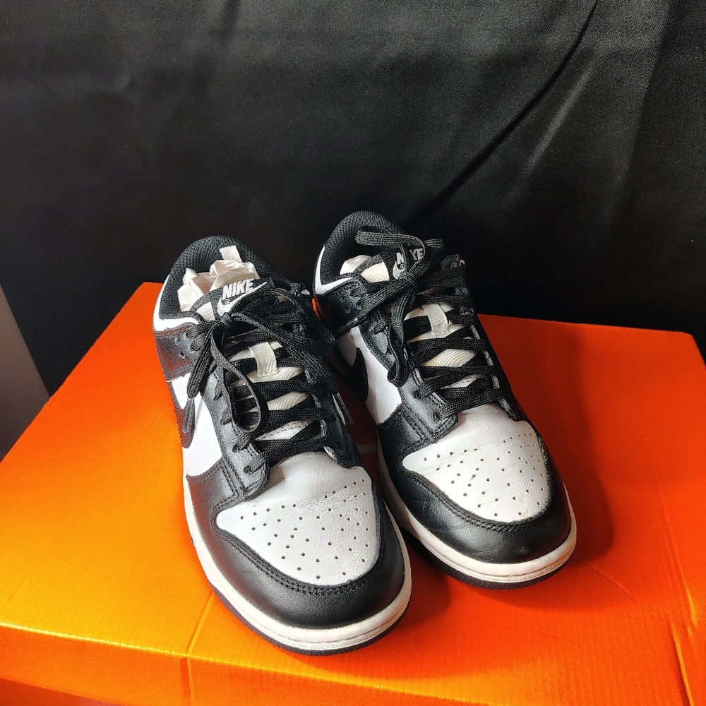 Nike Low Dunk Athletic Shoes with Box